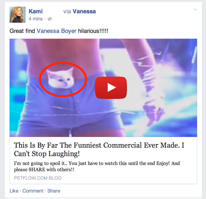 CAT COMMERCIAL