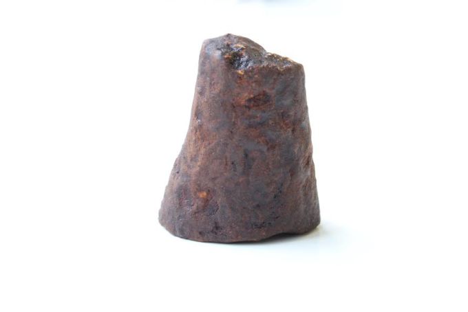 3D printed, genetically identical rhino horn grown in Pembient's lab space at IndieBio.