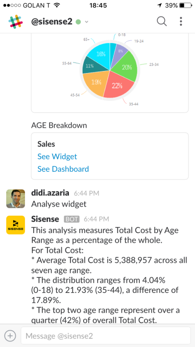 Sisense Slack bot.