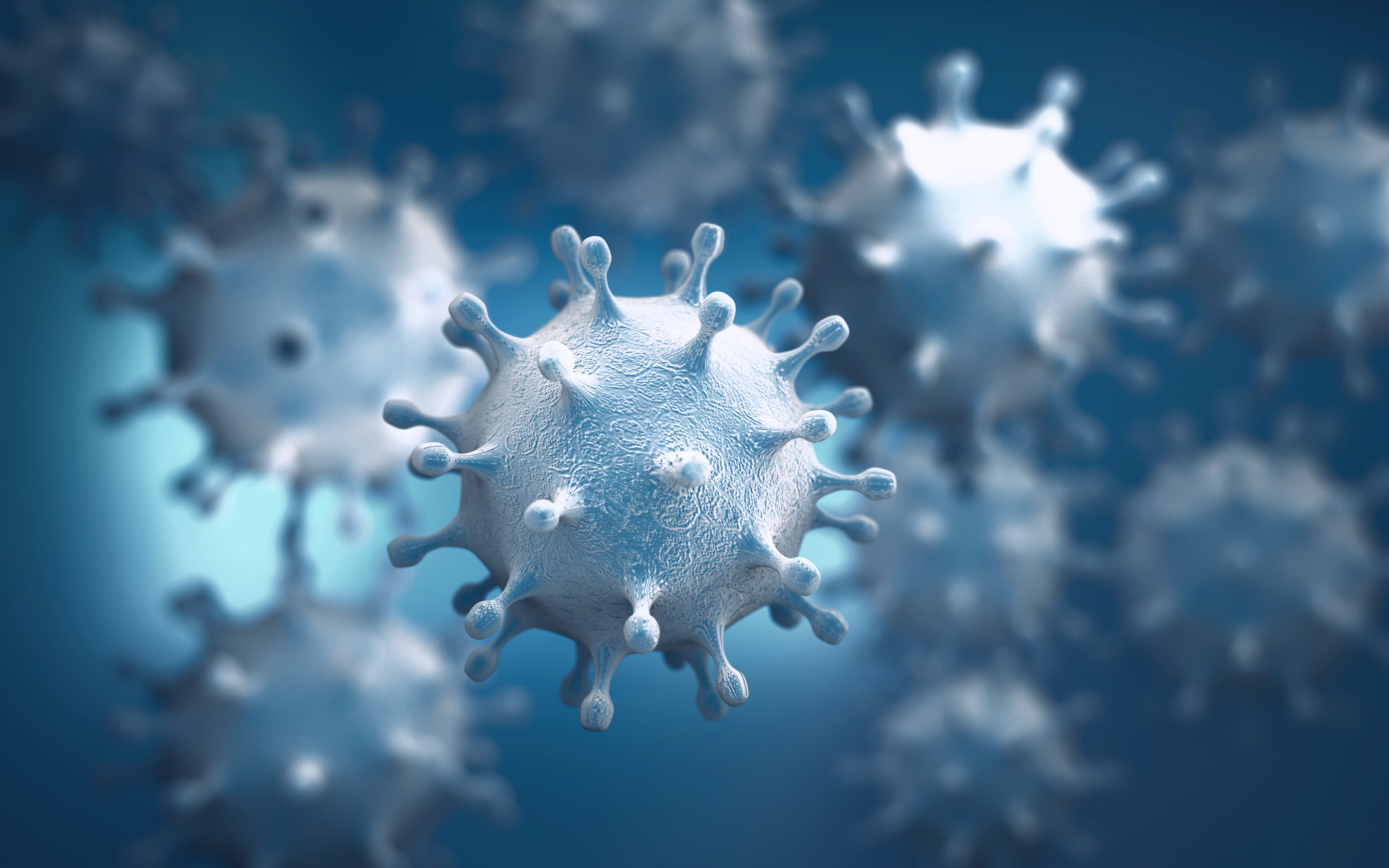 Coronavirus structure