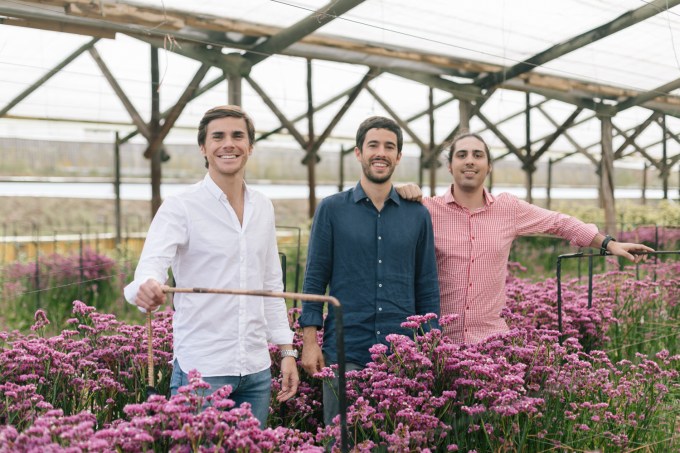 Colvin founders